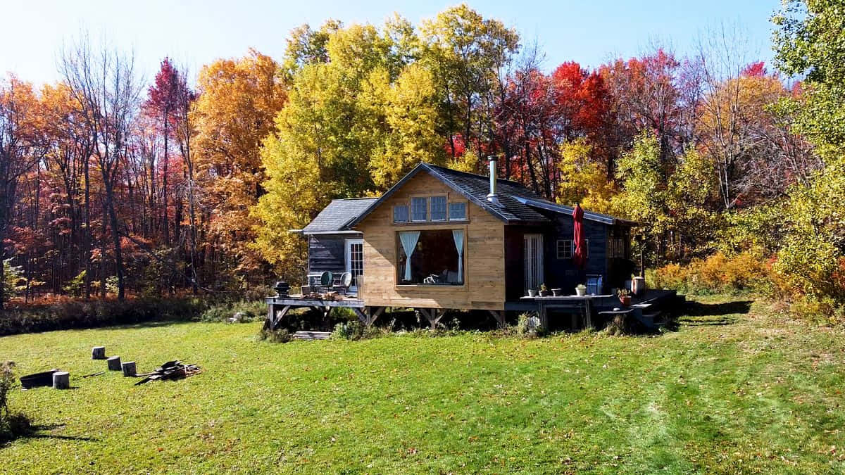 Fall Cabin 桌布 壁紙 — 一間舒適的木屋坐落在草地上，周圍是色彩繽紛的秋樹，上方是清澈的藍天。