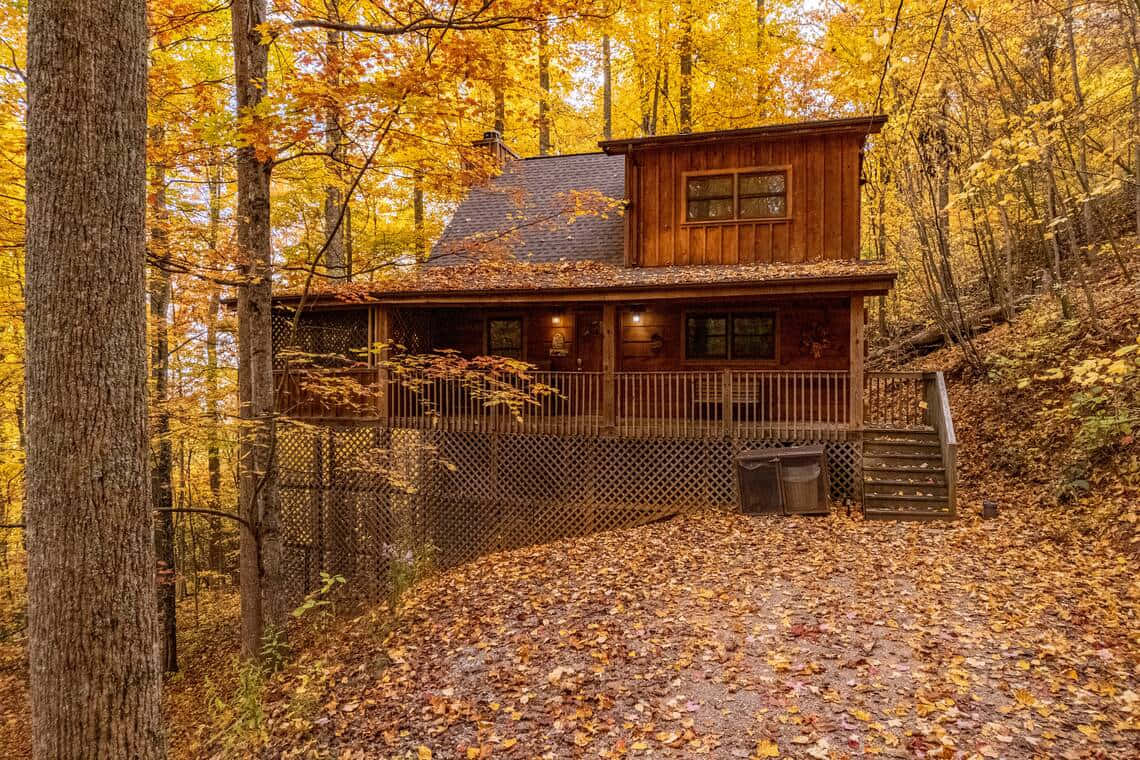Fall Cabin 桌布 壁紙 — 一間舒適的木屋坐落在被金色秋葉覆蓋的森林中，沐浴在柔和的白晝光線下。