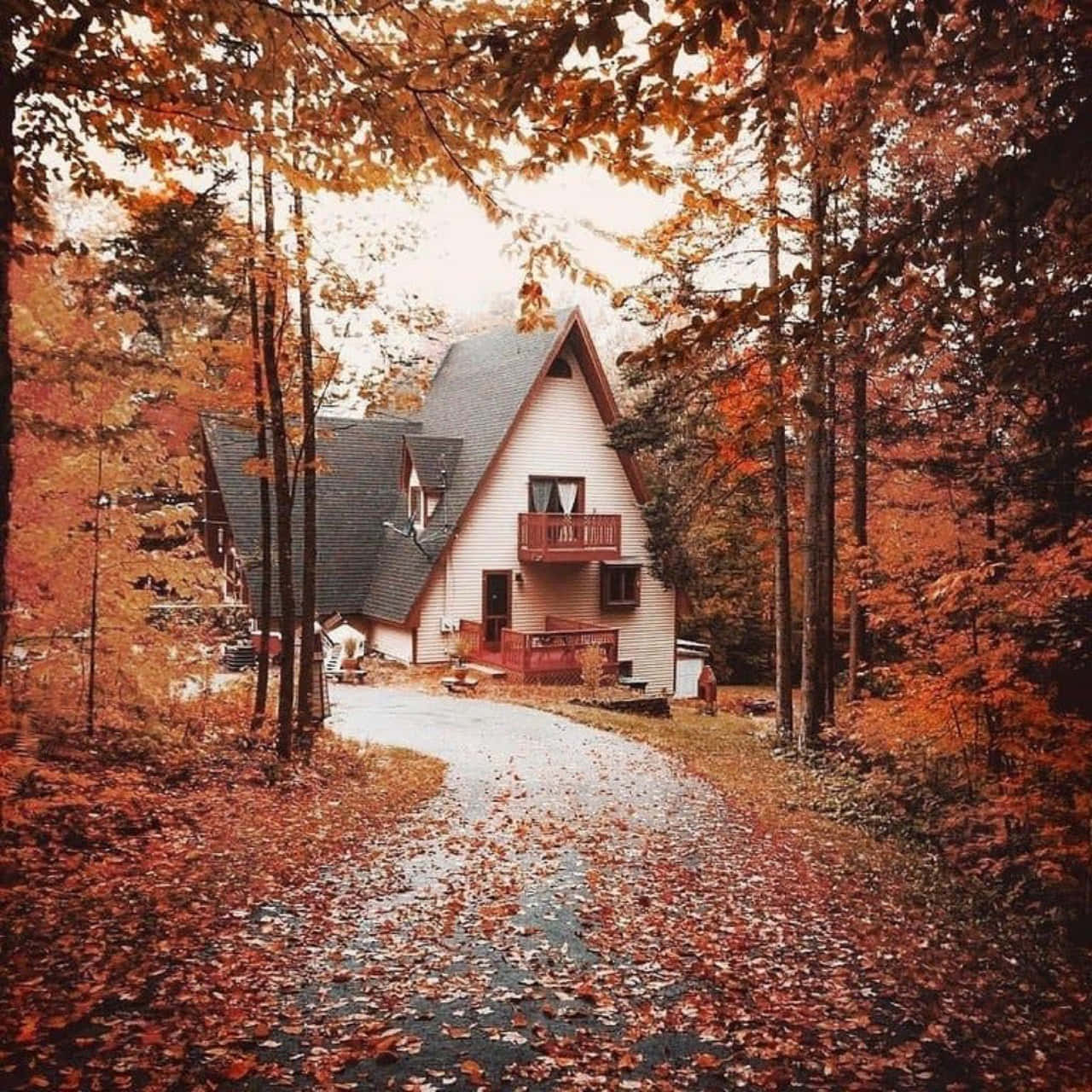 Autumn Leaves 桌布 壁紙 — 一間舒適的白色A字形小屋坐落在森林中，鮮豔的橙色秋葉覆蓋著地面和小徑。