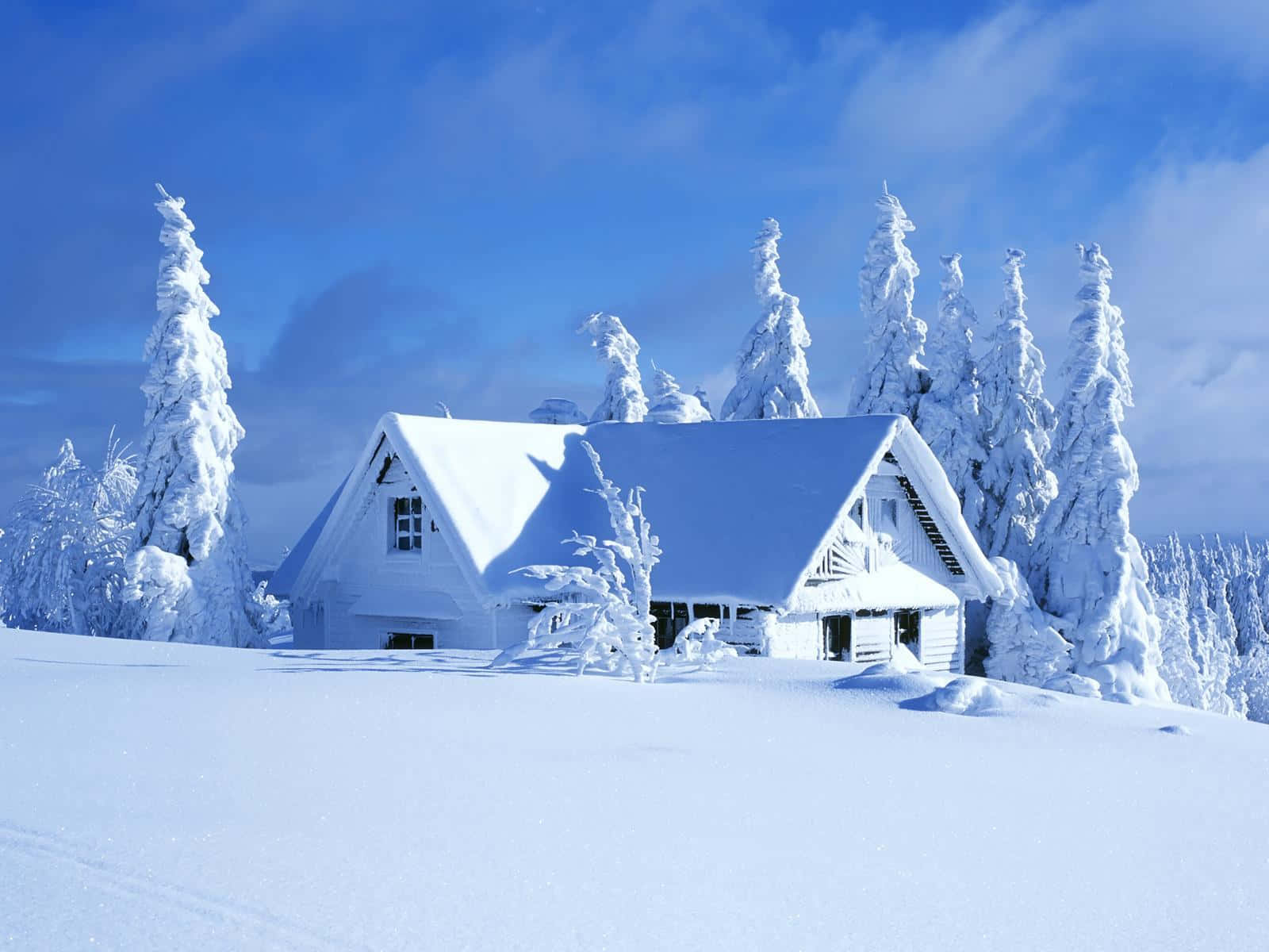 Winter Landscape 桌布 壁紙 — 一間舒適的白色小屋坐落在白雪皚皚的森林中，在明亮的藍天下，樹木掛滿積雪。