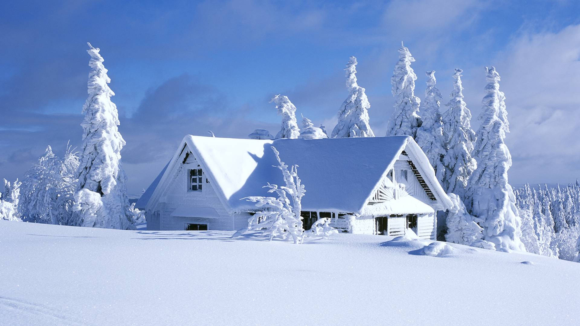 Winter House 桌布 壁紙 — 一間舒適的白色小屋坐落在白雪皚皚的森林中，上方是明亮的藍天和蓬鬆的雲朵。
