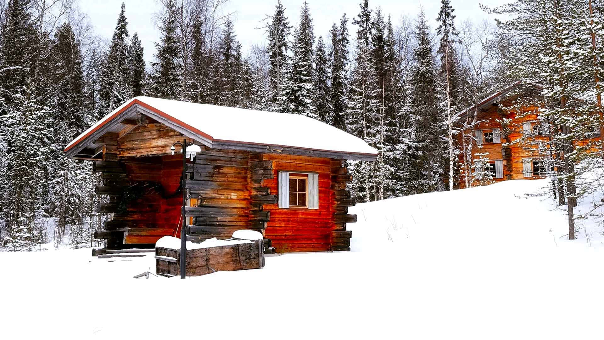 Cozy Winter Cabin 桌布 壁紙 — 一間舒適的紅色木屋坐落在白雪覆蓋的森林中，高聳的松樹在明亮的冬日天空下。