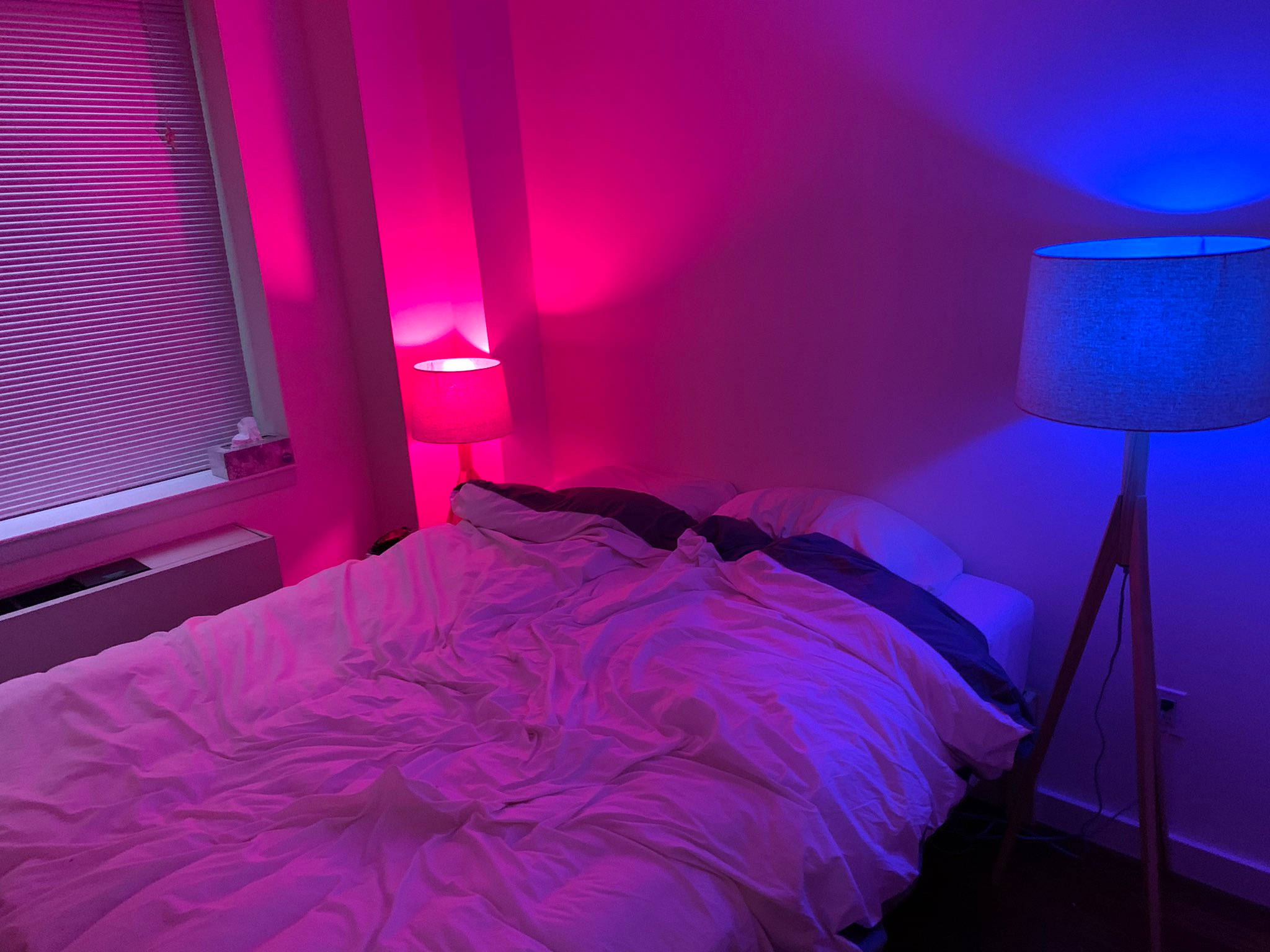 Bisexual 桌布 壁紙 — 一間舒適的臥室，沐浴在兩盞燈散發出的鮮豔粉紅色和藍色環境光中，在皺巴巴的床單上投下柔和的陰影。