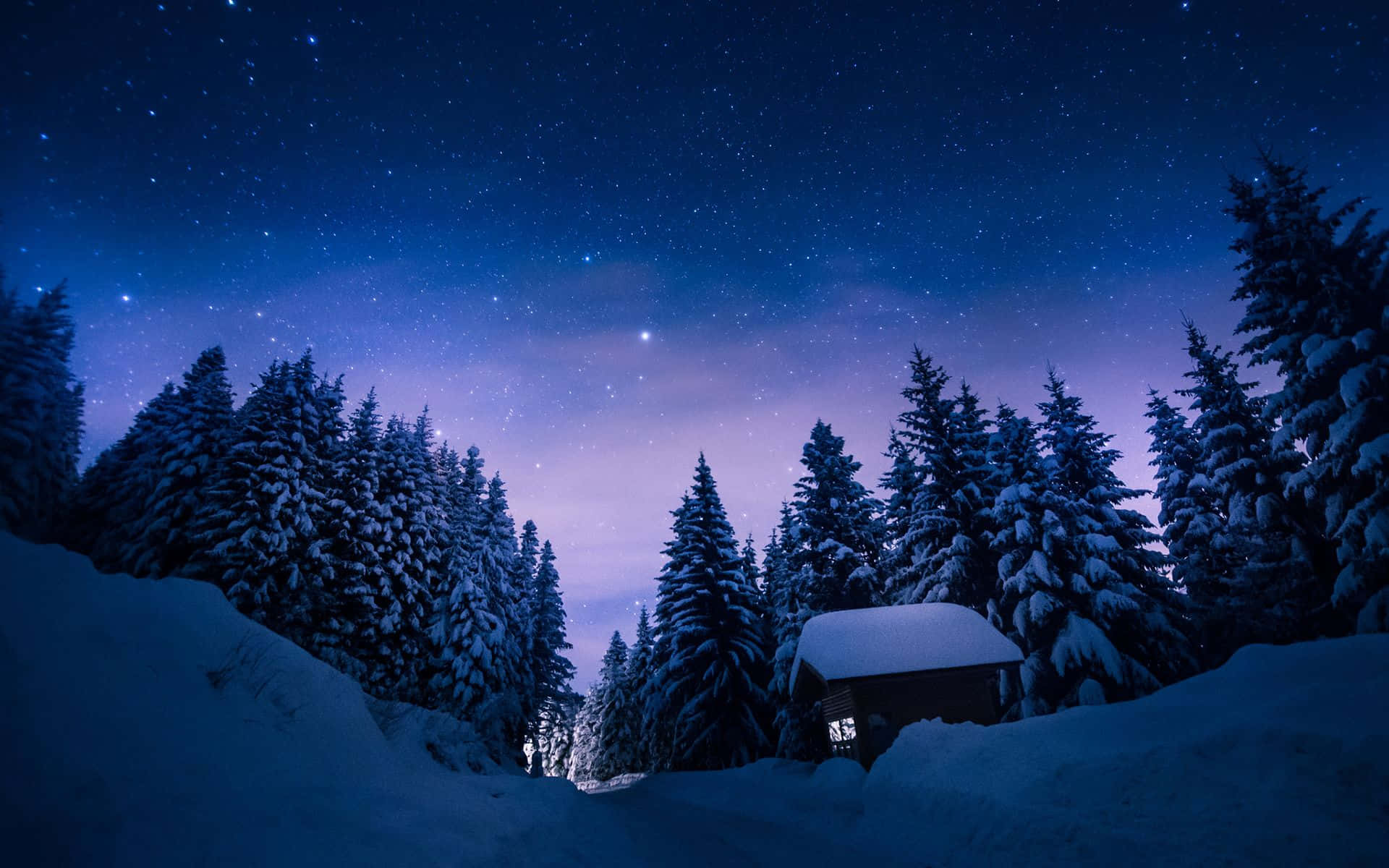冬天 桌布 壁紙 — 一間舒適的雪覆蓋小屋，坐落在松樹之間，在繁星點點的冬夜天空下。