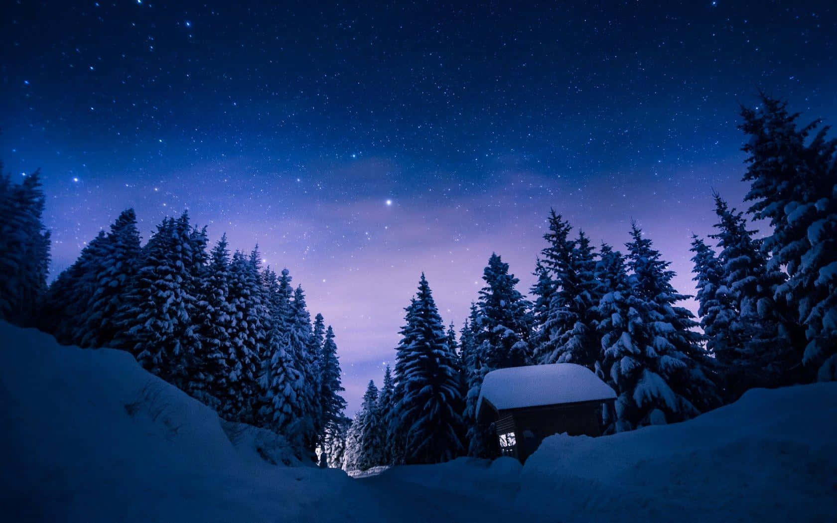 Winter Night Desktop 桌布 壁紙 — 一間舒適的雪覆蓋小屋，藏在松樹之間，在繁星點點的冬夜天空下。