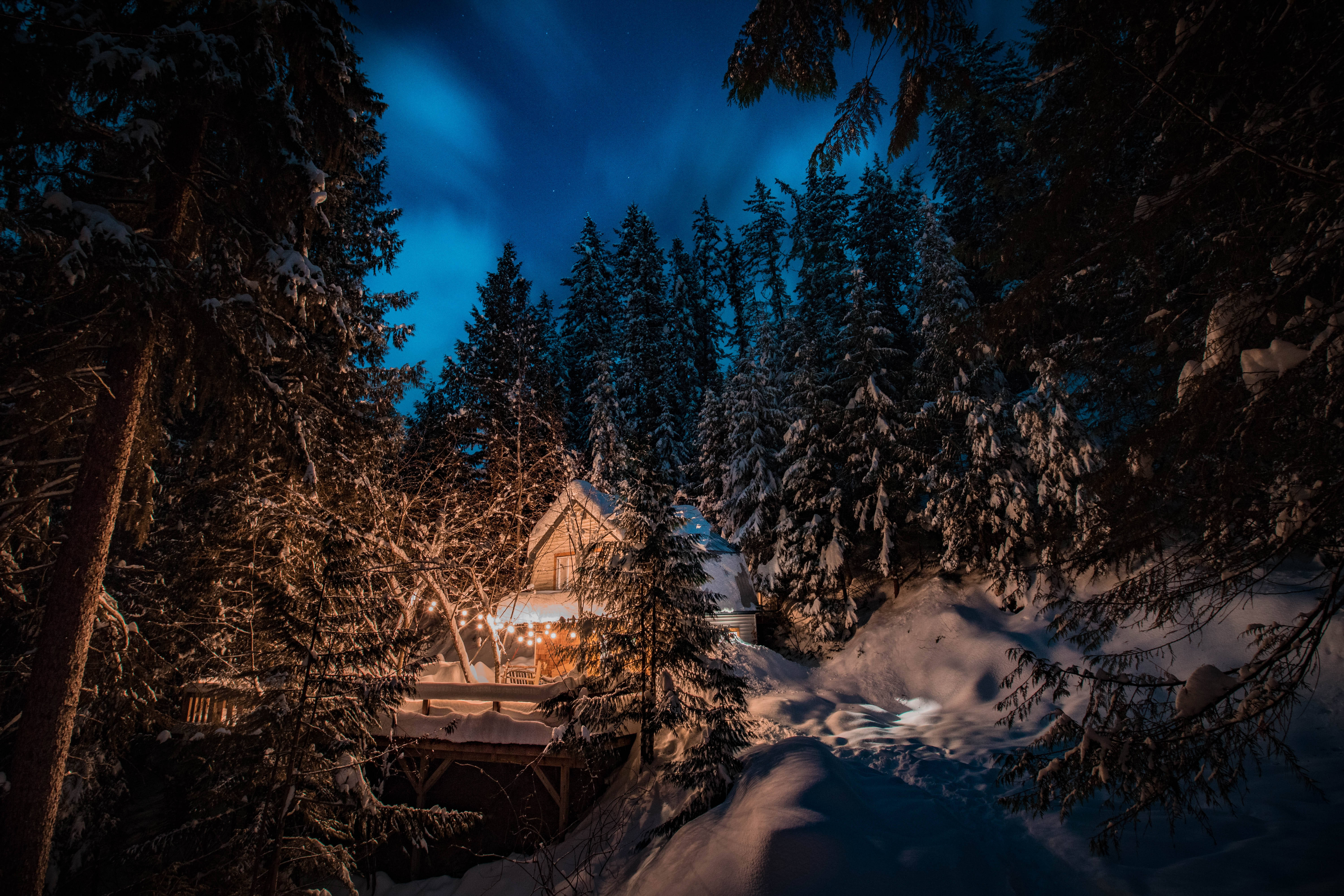 Snowy Christmas 桌布 壁紙 — 一間舒適的雪覆蓋小屋在繁星點點的冬夜天空下溫暖地發光，周圍是掛滿雪的松樹。