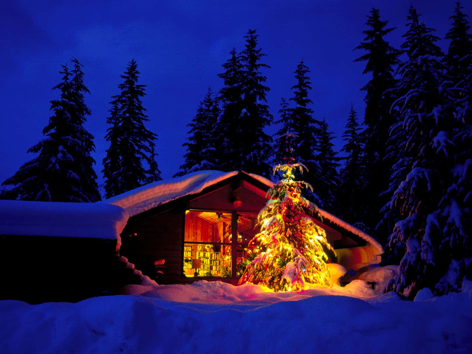 聖誕節 桌布 壁紙 — 一間舒適的雪覆蓋小屋在黃昏時溫暖地發光，前面有一棵明亮的聖誕樹，周圍環繞著高大的松樹。