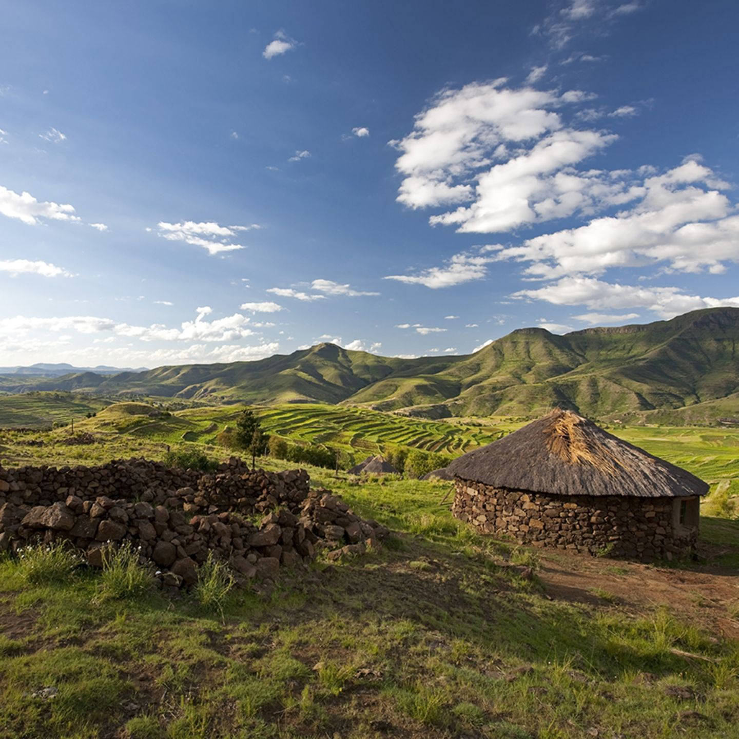 Lesotho 桌布 壁紙 — 一間茅草屋頂的質樸石屋坐落在陽光明媚的山谷中，周圍環繞著連綿起伏的綠色山丘和梯田，上方是明亮的藍天和蓬鬆的白雲。
