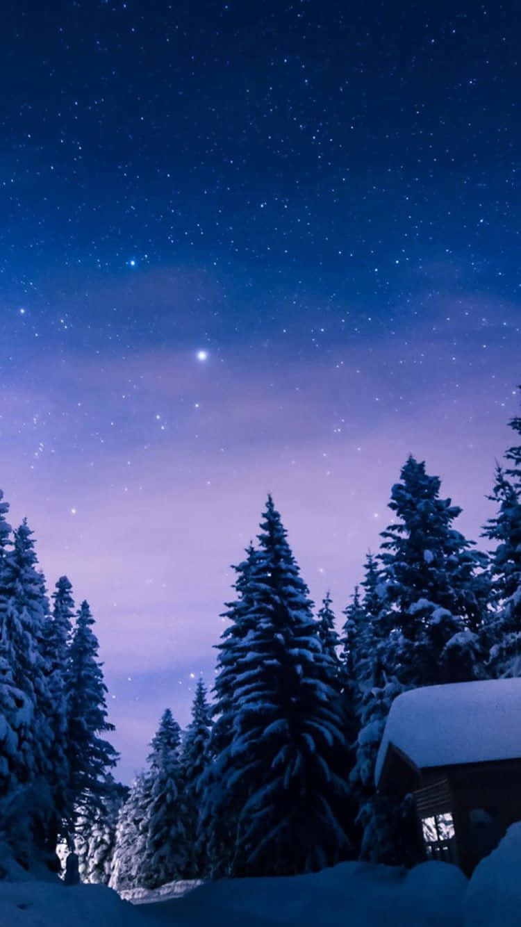 桌布 壁紙 — 一間被雪覆蓋的小屋，坐落在松樹之間，在帶有紫色和藍色色調的星空暮色天空下。