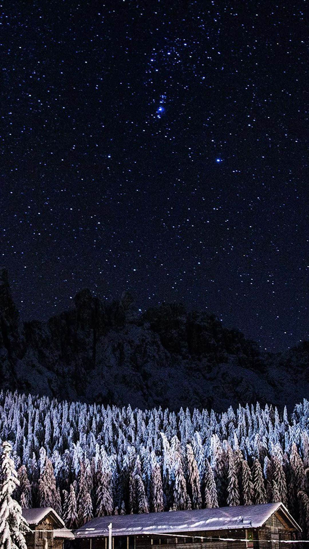 winter solstice 桌布 壁紙 — 一間被雪覆蓋的小屋，坐落在結霜的松樹之間，上方是星光閃爍的冬夜天空，可見星座。