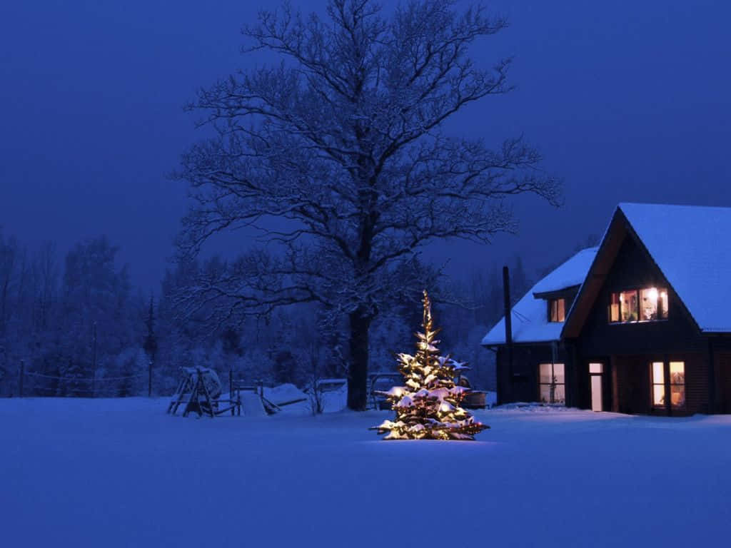桌布 壁紙 — 一間被雪覆蓋的小屋在夜晚溫暖地發光，前面有一棵亮燈的聖誕樹，背景是深藍色的天空。