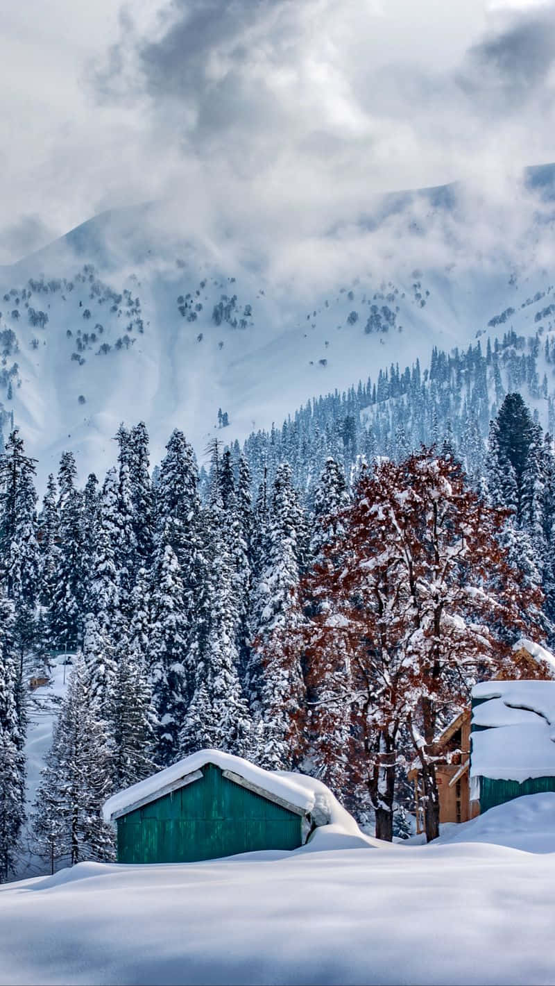 Himalaya 桌布 壁紙 — 一間被雪覆蓋的小屋坐落在冬季森林中，遠方有霧氣繚繞的山巒，前景有一棵紅葉樹。