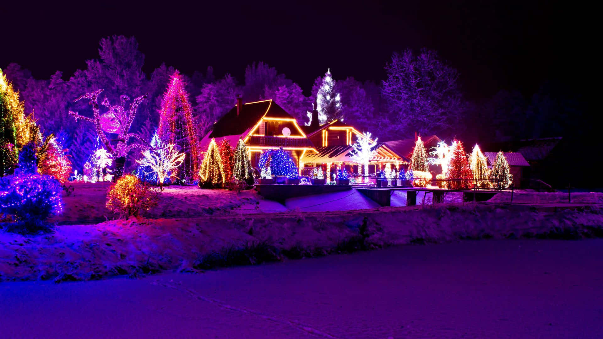 Christmas Village 桌布 壁紙 — 一間被雪覆蓋的房子在夜晚被樹木和灌木上充滿活力的紫色、橙色和藍色節日燈光照亮。