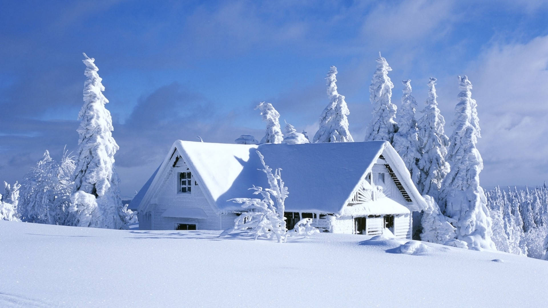 冬季桌面 桌布 壁紙 — 一間被雪覆蓋的木屋，坐落在掛滿霜雪的常青樹之間，上方是明亮的藍天。