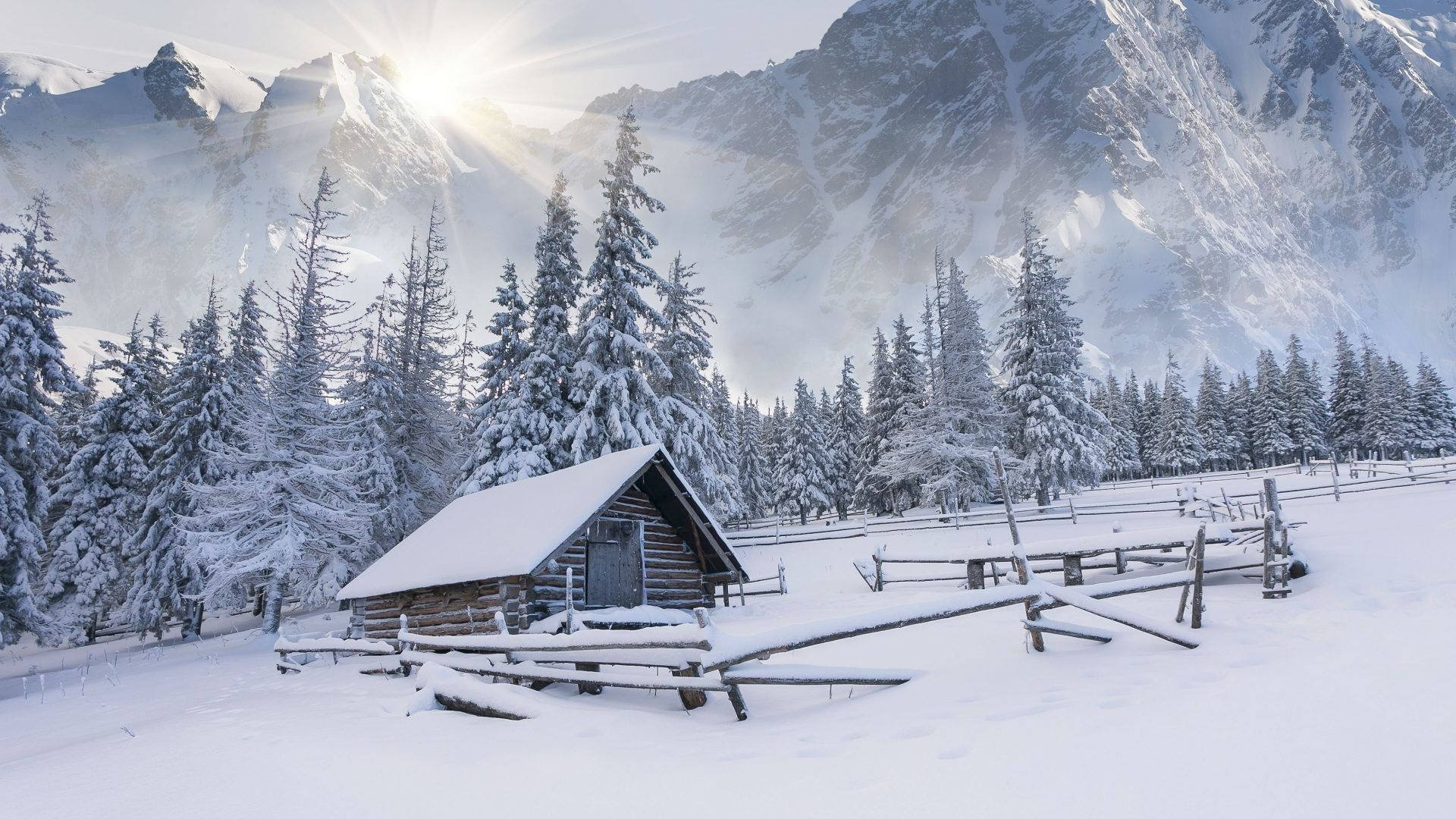 森林 桌布 壁紙 — 一間被雪覆蓋的木屋坐落在冬季森林中，陽光穿過雪山照射進來。