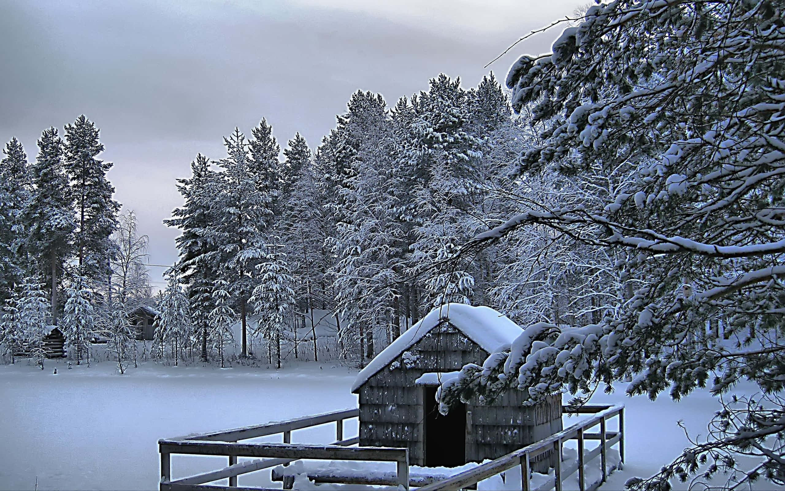 Winter Scene 桌布 壁紙 — 一間被雪覆蓋的木屋坐落在結冰的湖邊，周圍是常青樹，天空是灰色的冬日天空。