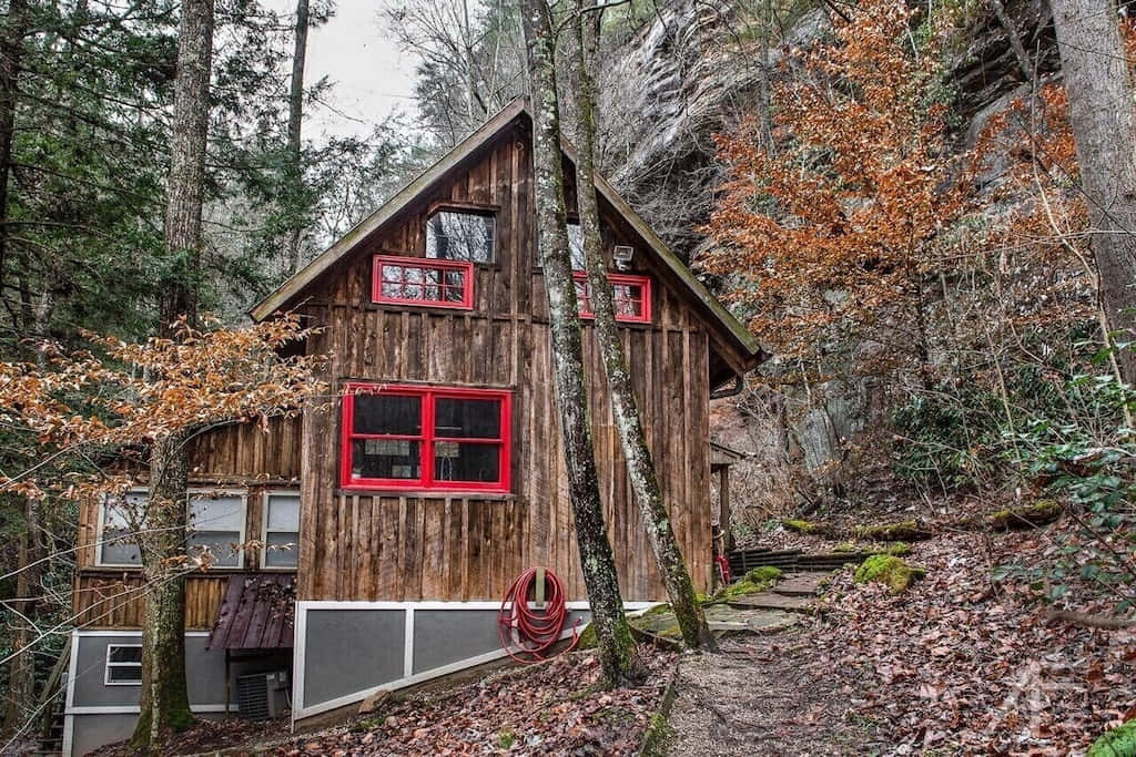 Fall Cabin 桌布 壁紙 — 一間質樸的木屋，帶有醒目的紅色窗戶，坐落在鋪滿落葉的森林山坡上。
