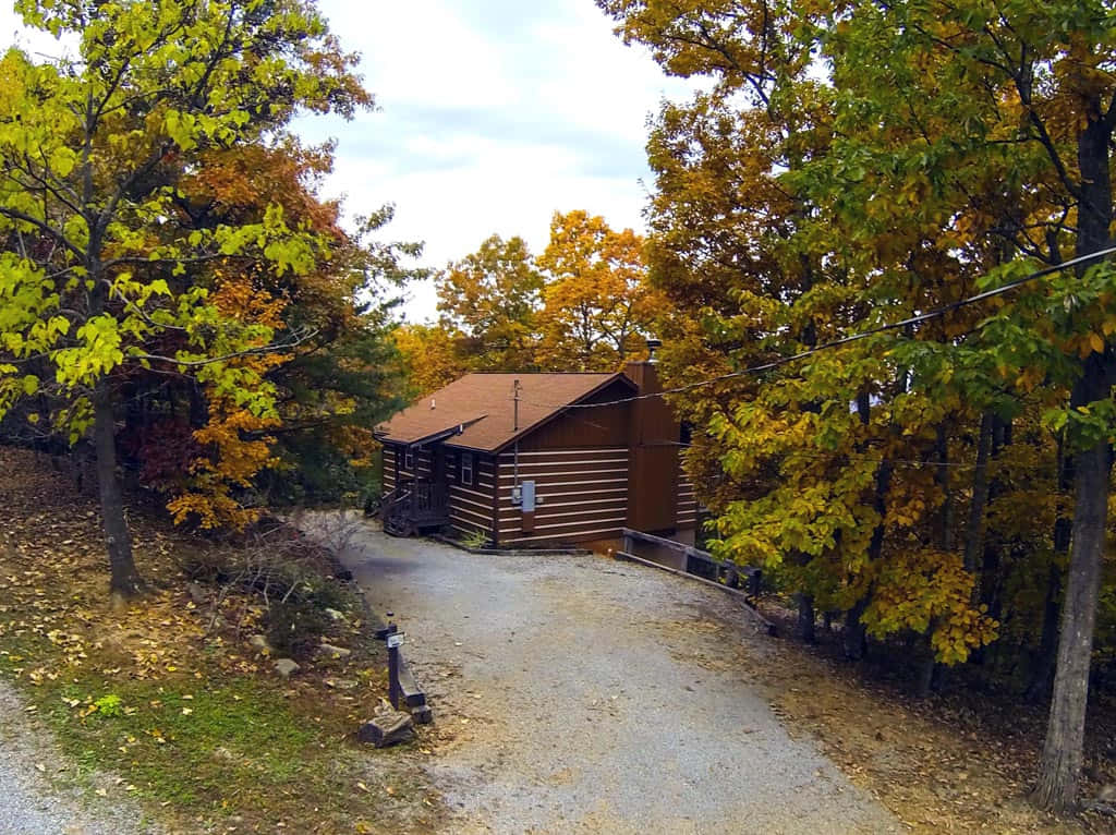 Fall Cabin 桌布 壁紙 — 一間質樸的木屋坐落在森林中，在陰天之下有充滿活力的秋葉。