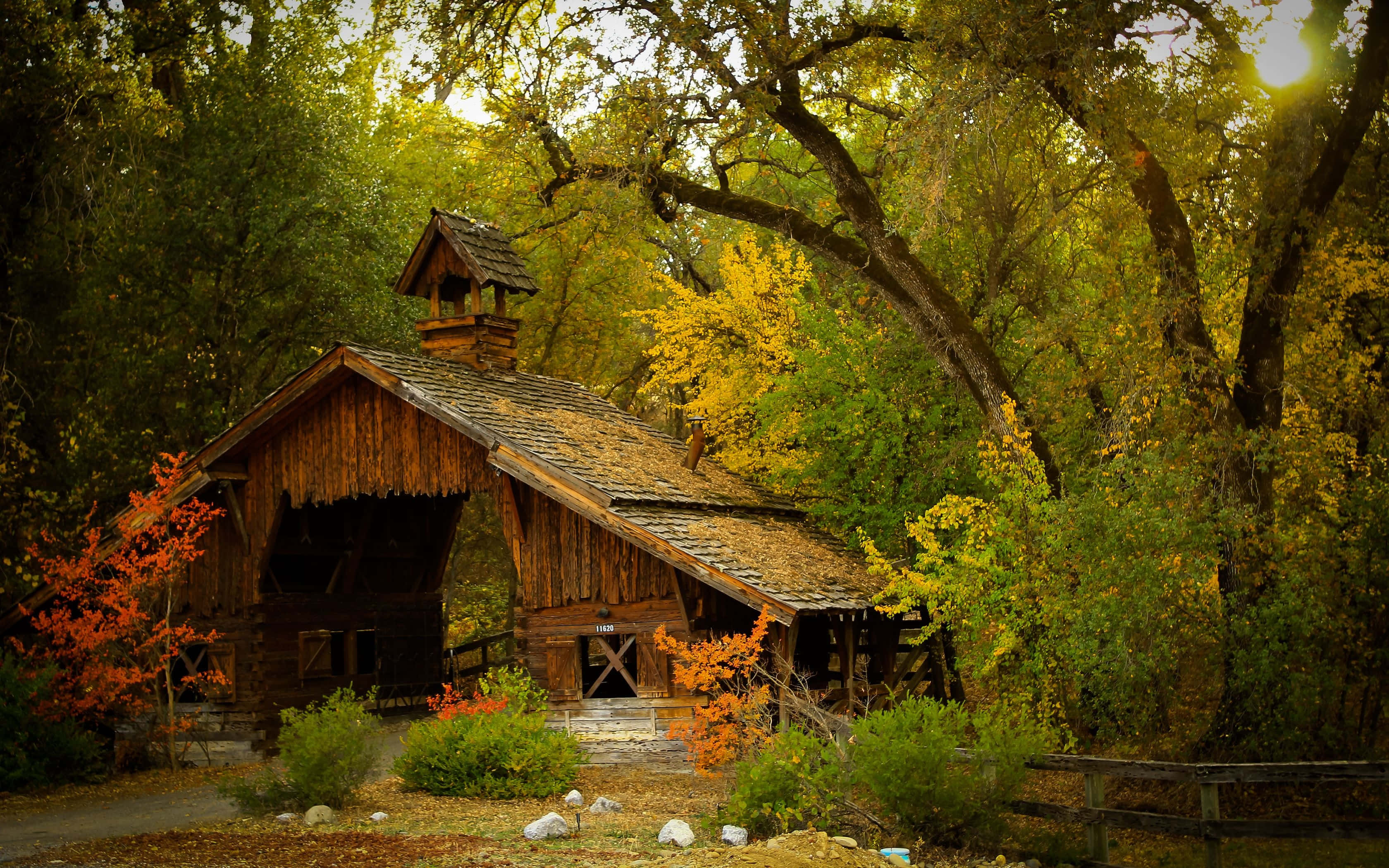Fall Barn 桌布 壁紙 — 一間質樸的木屋坐落在陽光斑駁的秋日森林中，周圍是金色和深紅色的樹葉。