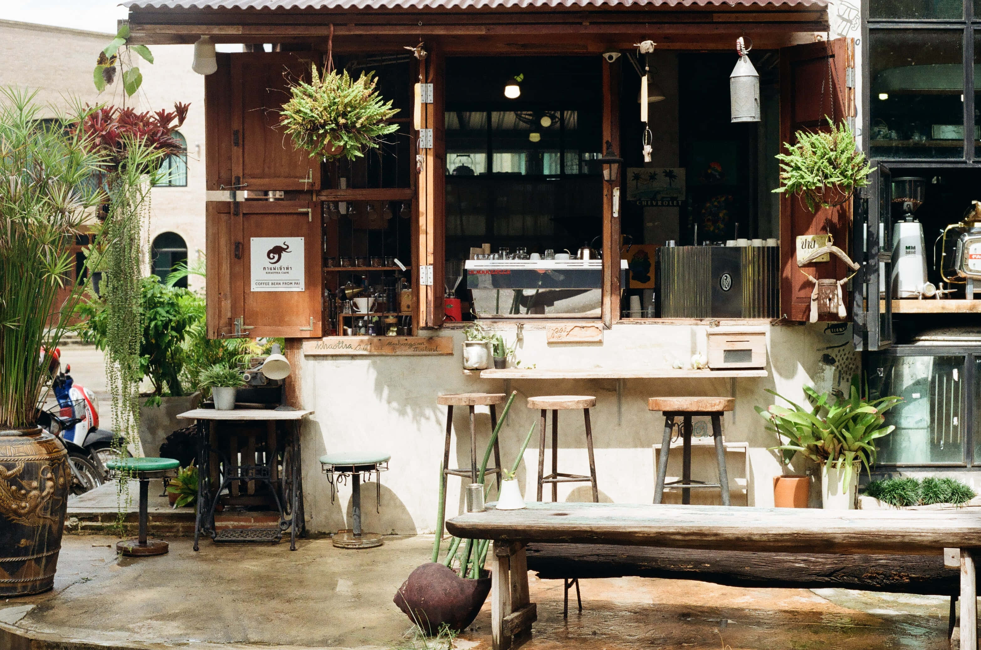 Restaurant 桌布 壁紙 — 一間質樸的木造咖啡館，掛著植物和凳子，在明亮的日光下，周圍環繞著茂密的綠植和復古裝飾。