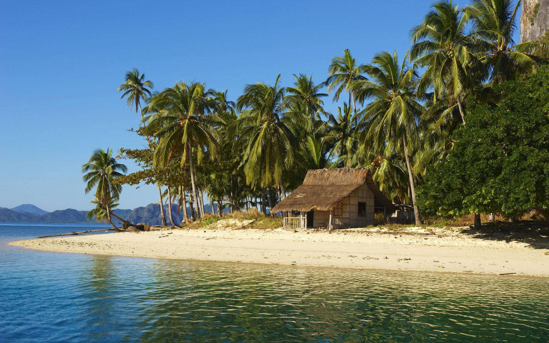 Philippines 桌布 壁紙 — 一間質樸的茅草小屋坐落在熱帶沙灘上，周圍環繞著搖曳的棕櫚樹，頭頂是清澈的藍天。