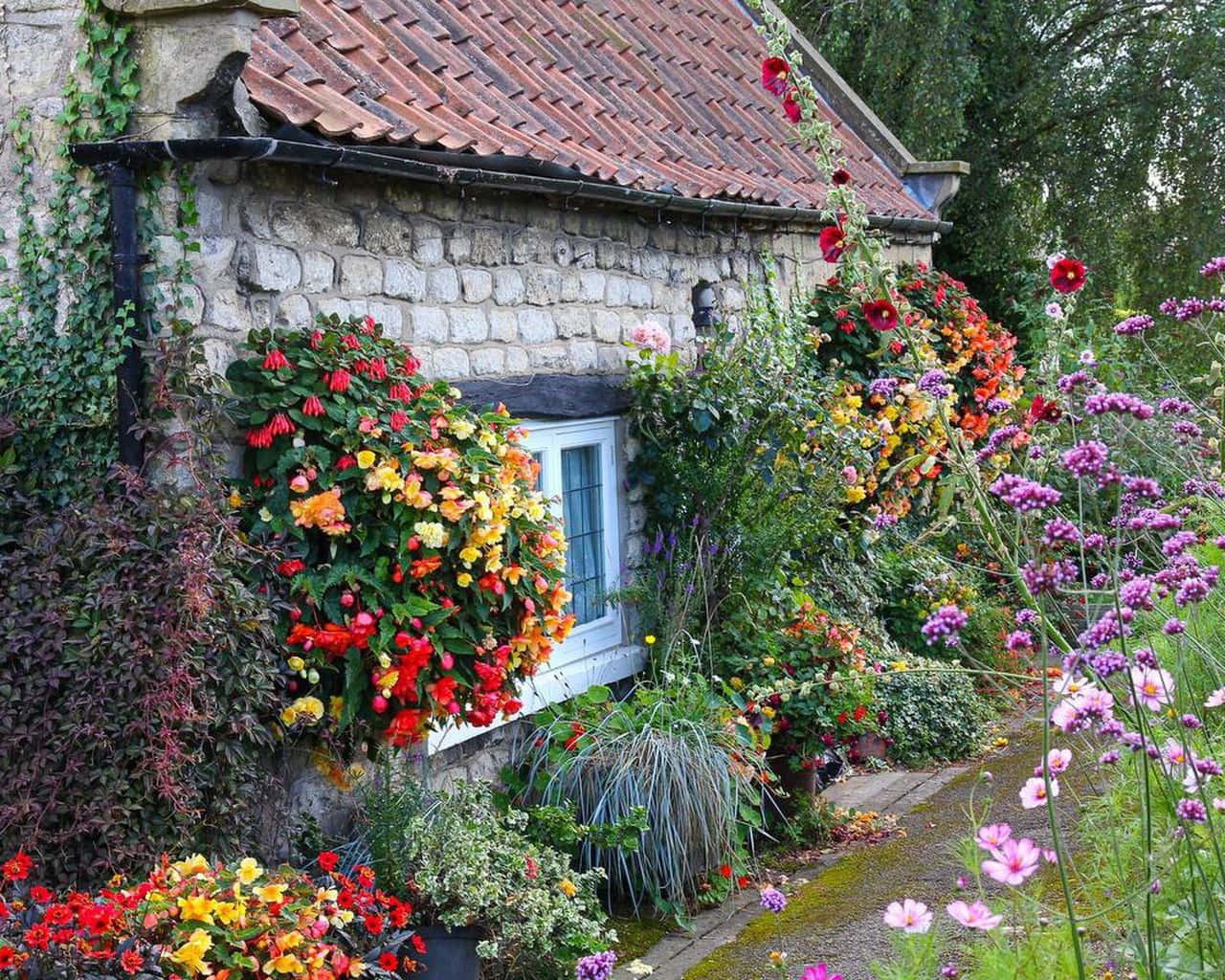 Cottage Garden 桌布 壁紙 — 一間迷人的石頭小屋，配以紅瓦屋頂，被茂盛花園中充滿活力的攀緣花卉和色彩繽紛的花朵所環抱。