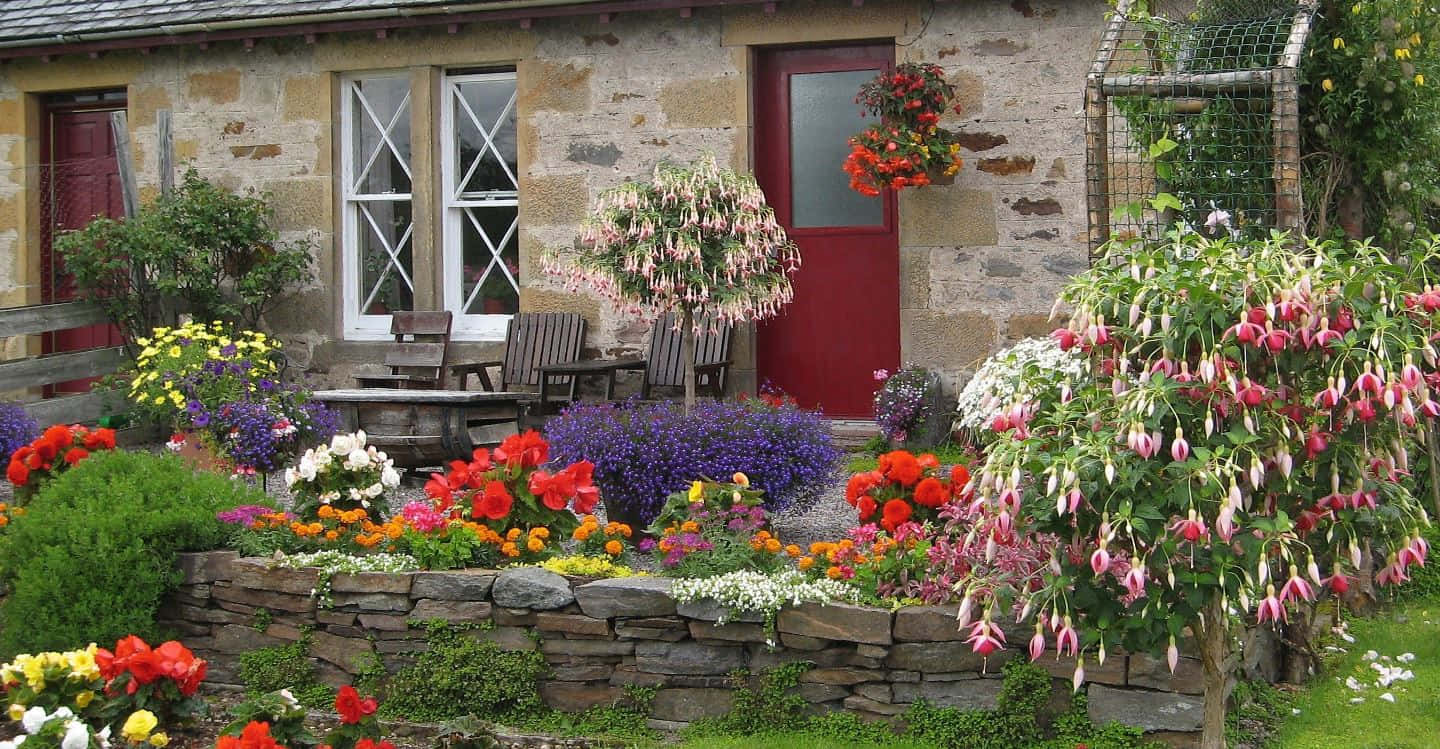 Cottage Garden 桌布 壁紙 — 一間迷人的石頭小屋，配有紅色門和充滿色彩繽紛花朵的鮮豔花壇。
