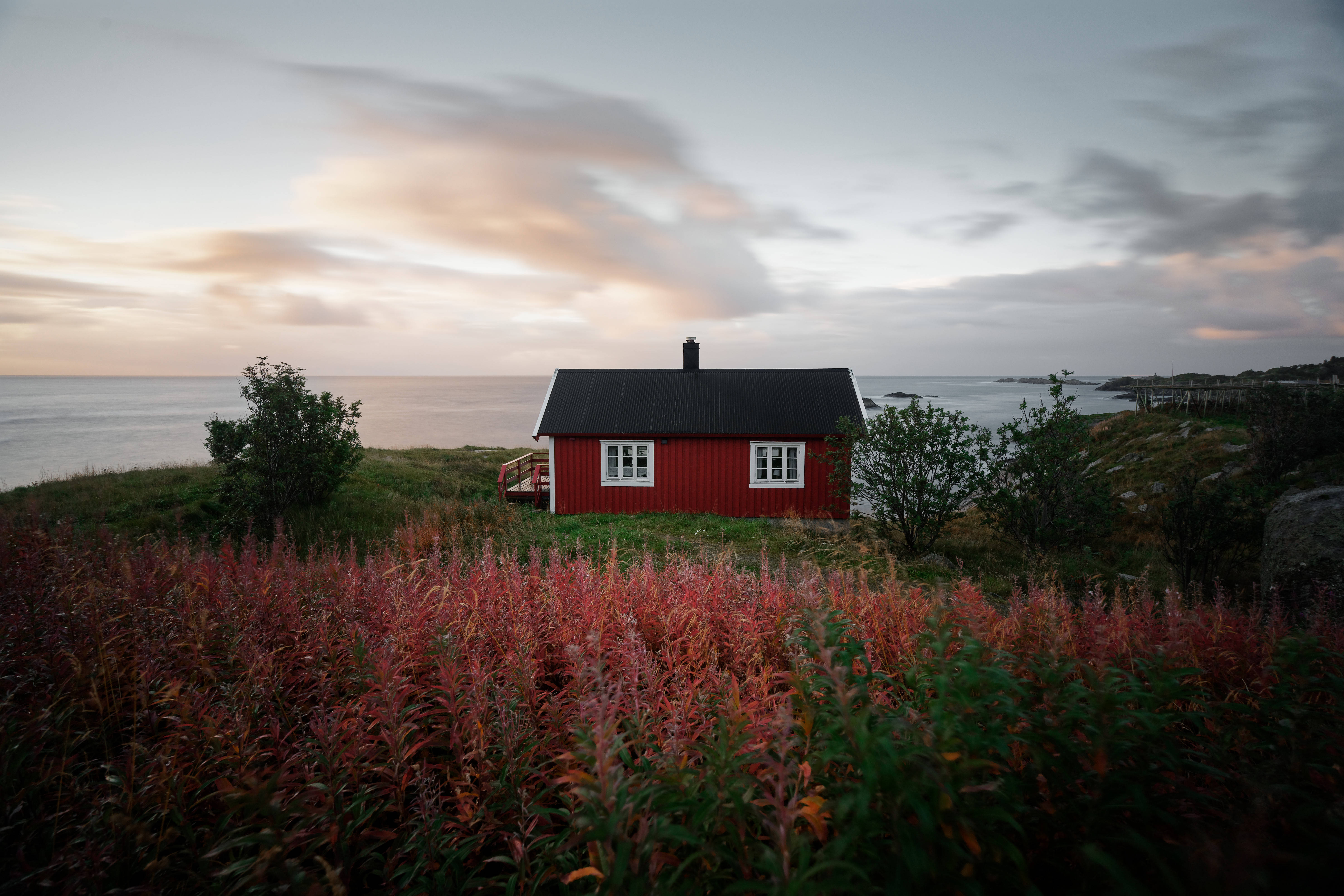 Norway 桌布 壁紙 — 一間鮮紅色、帶白色窗戶的小屋坐落在長滿青草的懸崖上，俯瞰著黃昏時平靜的大海，周圍環繞著秋日的樹葉。