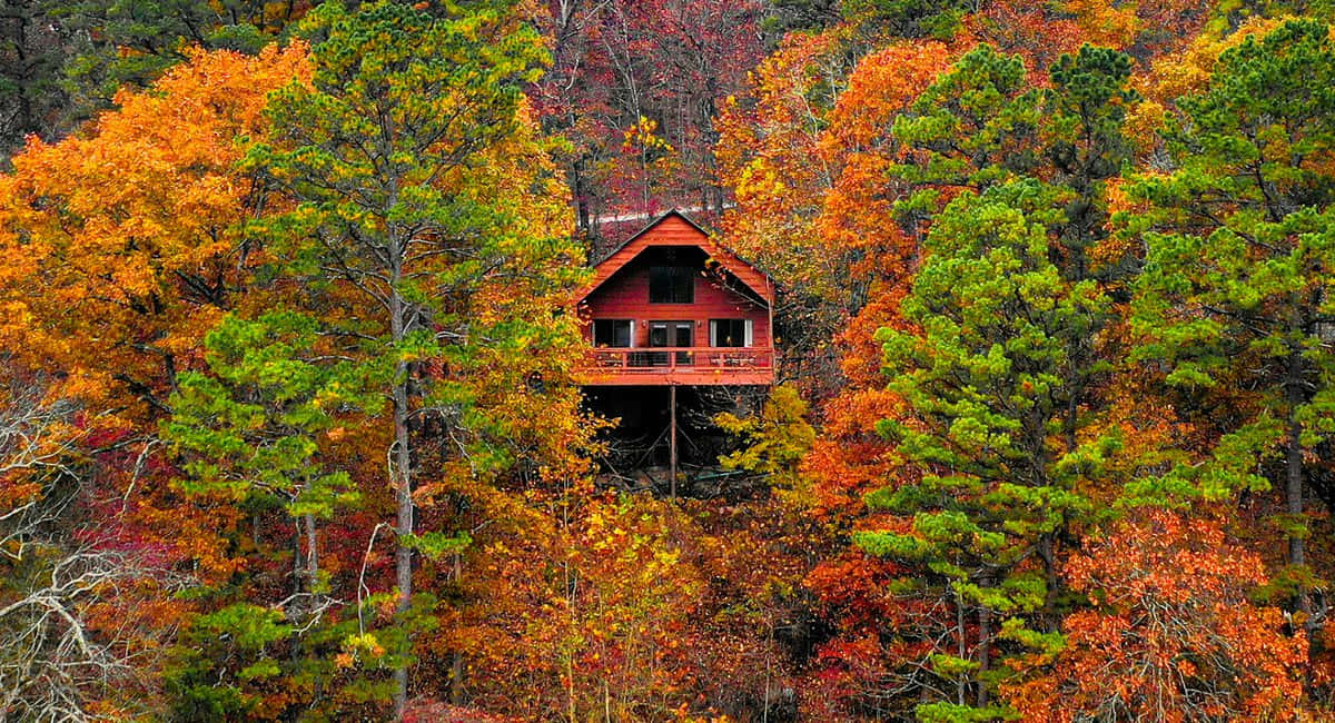 Fall Cabin 桌布 壁紙 — 一間鮮紅色的木屋坐落在火紅的秋樹之間，樹葉呈現橙色、綠色和金色。
