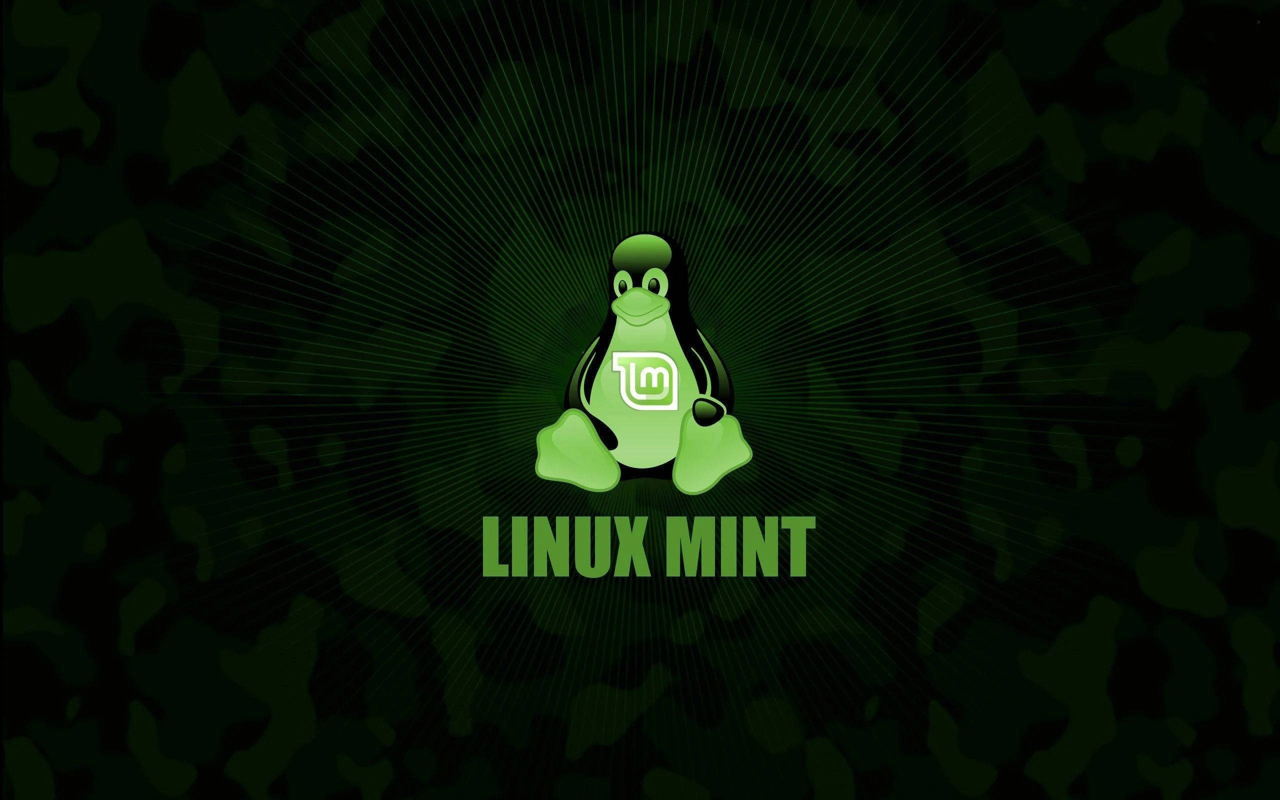 Linux 桌布 壁紙 — 一隻亮綠色Linux Mint企鵝吉祥物坐在深綠色迷彩背景中央，背景帶有放射線條。