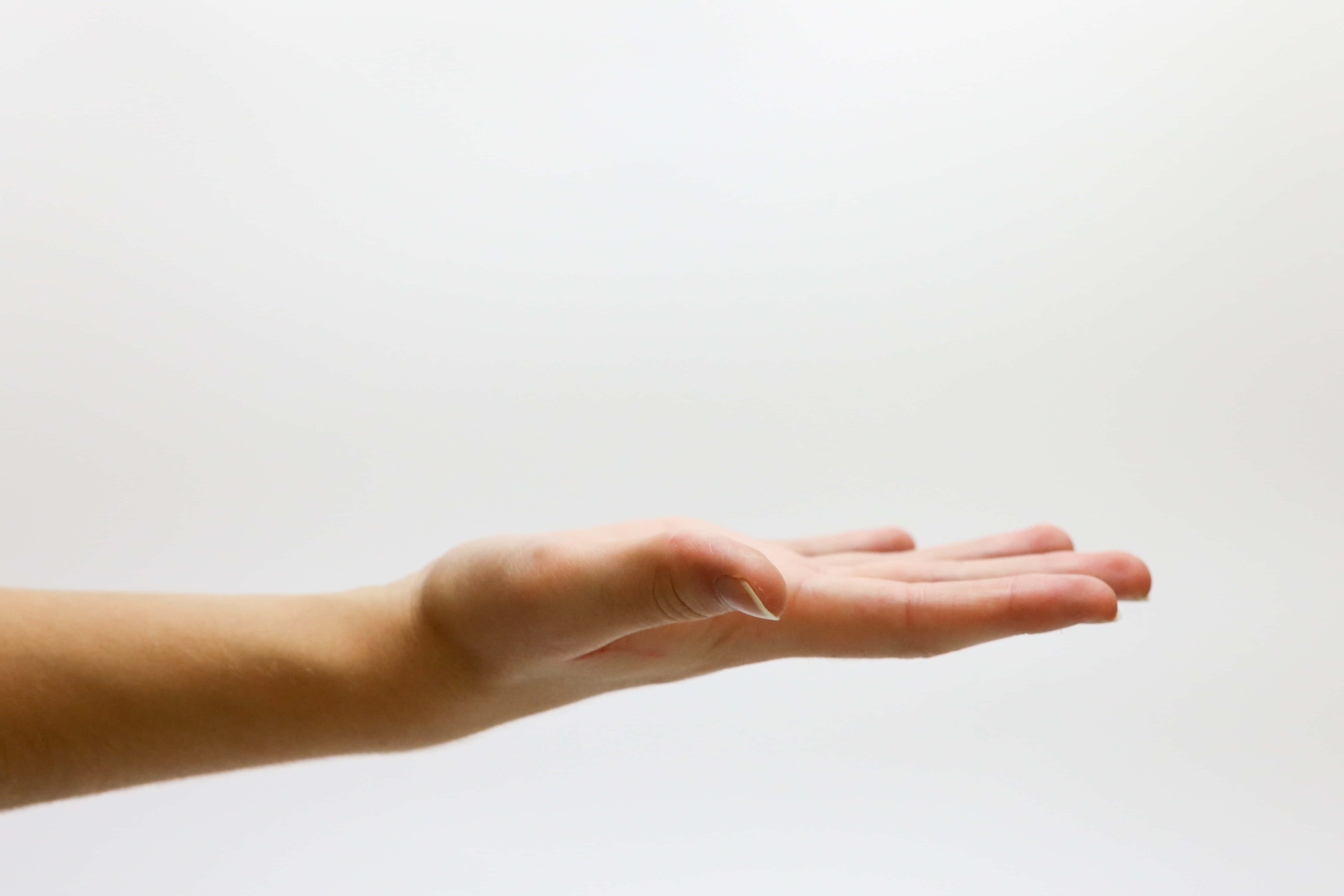 hands 桌布 壁紙 — 一隻人類的手掌向上伸出，在純白色背景前做出給予或接收的手勢。
