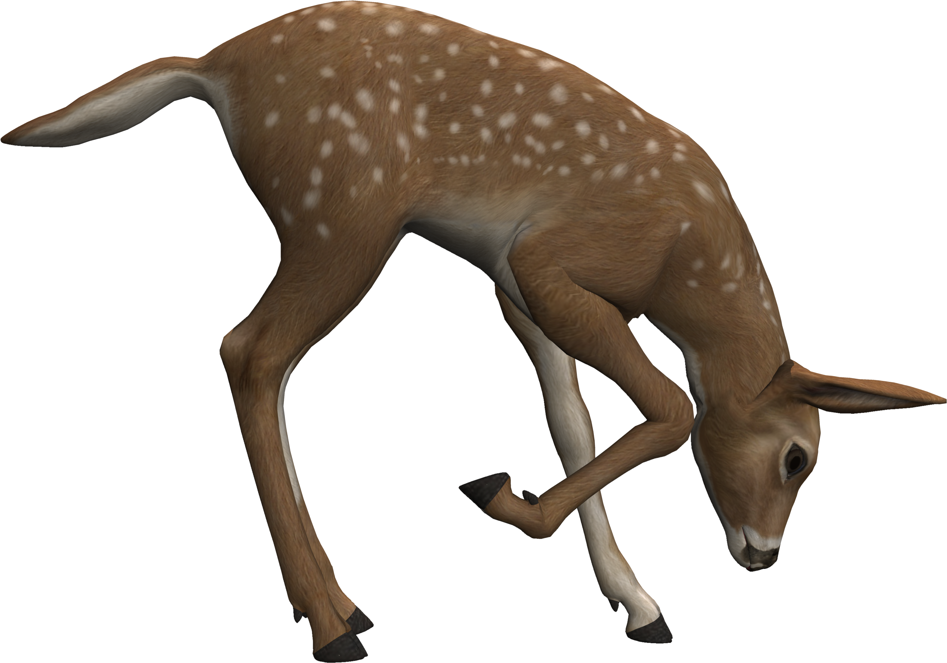 fawn 桌布 壁紙 — 一隻以3D渲染、帶有白色斑點的小鹿，在純黑背景上優雅地彎腰。