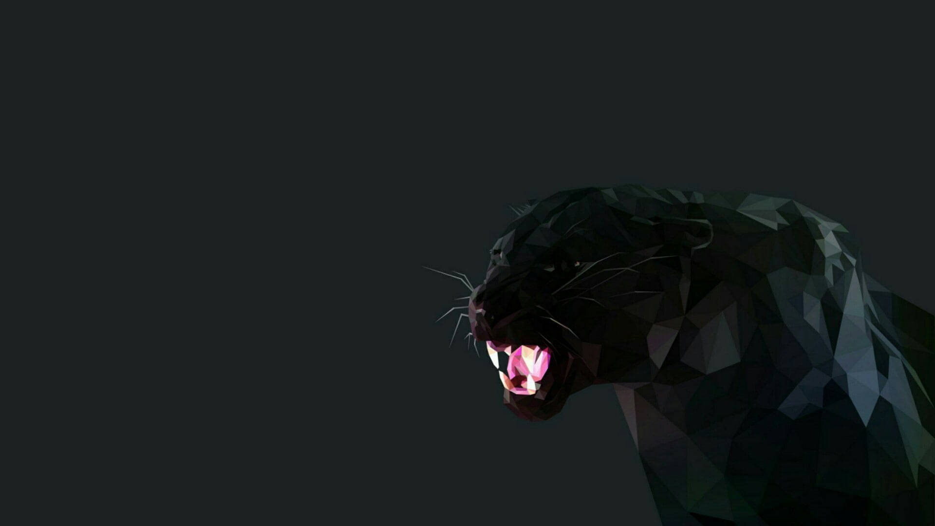 panther 桌布 壁紙 — 一隻低多邊形黑豹在深灰色背景上咆哮，發出粉紅色發光的舌頭。