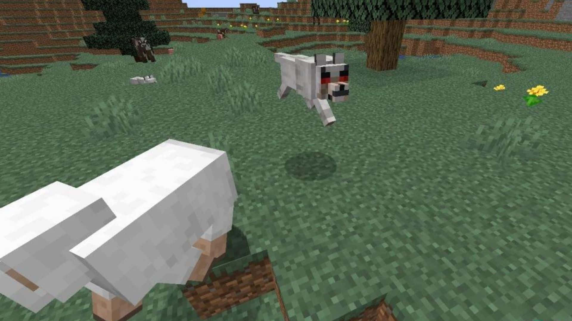 Minecraft Wolf 桌布 壁紙 — 一隻像素化的Minecraft狼在草地上奔跑，附近有羊，背景有樹木。