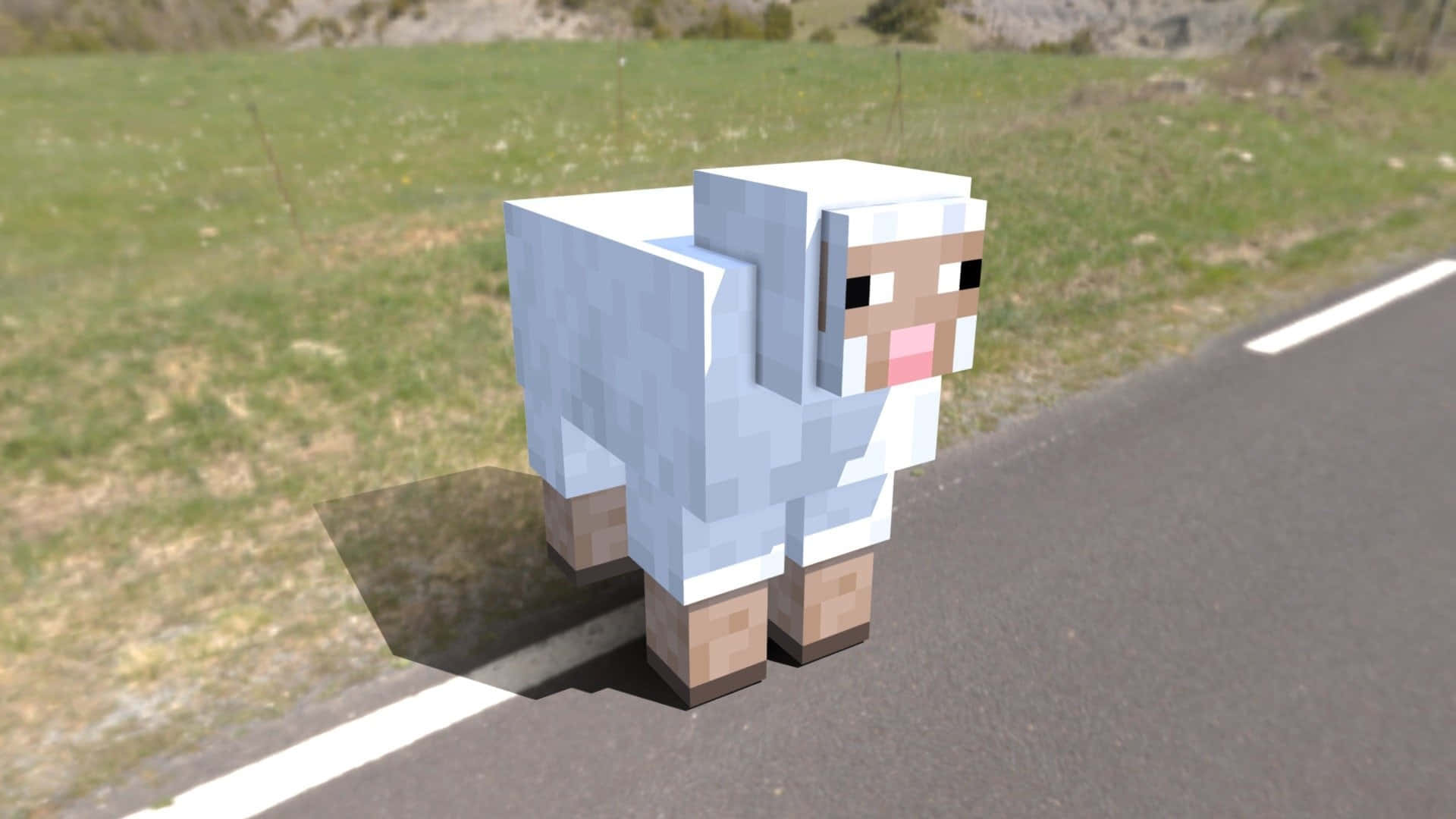 Minecraft Sheep 桌布 壁紙 — 一隻像素化的Minecraft羊站在鋪砌的道路上，旁邊是草地，在明亮的日光下。