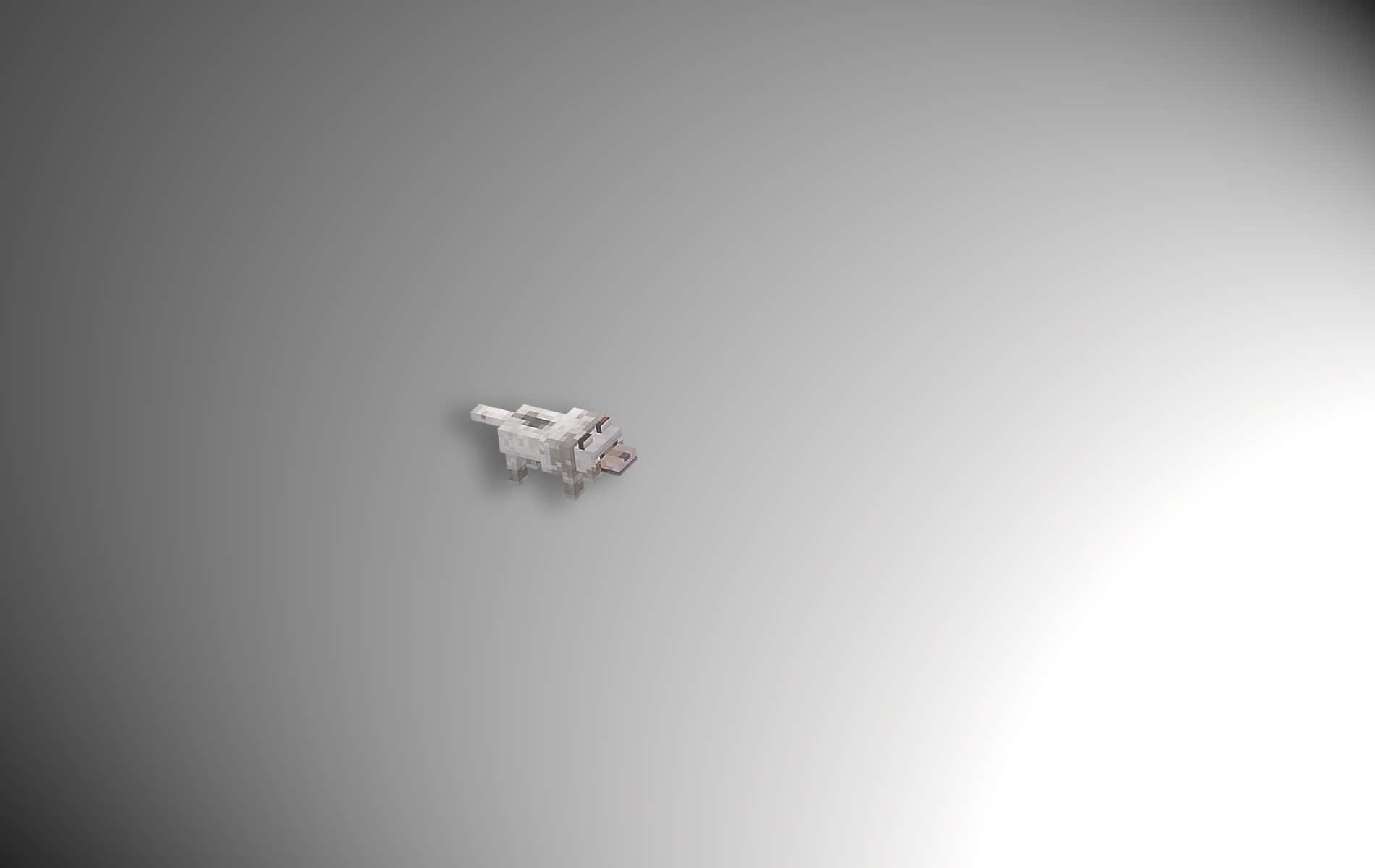 Minecraft Wolf 桌布 壁紙 — 一隻像素化的Minecraft豬獨自漂浮在柔和的灰色漸變背景上，右側有明亮的光源。