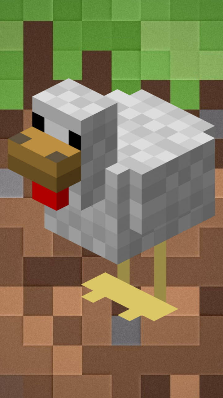 Animated 桌布 壁紙 — 一隻像素化的Minecraft雞站在方塊狀的地面上，後面有綠草。