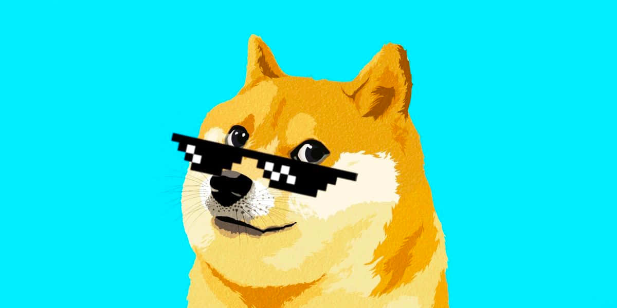 Cute Animal Memes 桌布 壁紙 — 一隻像素化的柴犬戴著標誌性的黑色像素太陽眼鏡，背景是明亮的青色。