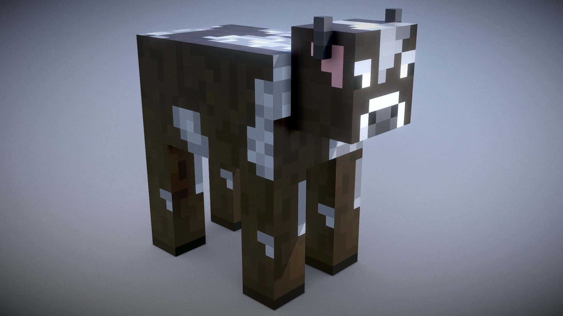 Minecraft Cow 桌布 壁紙 — 一隻像素化的棕白相間、粉紅耳朵的牛站在簡約的攝影棚環境中。
