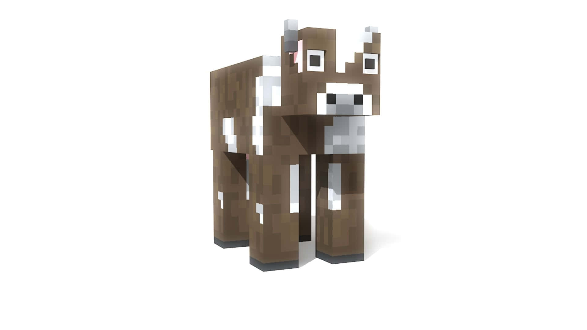 Minecraft Cow 桌布 壁紙 — 一隻像素化的棕白相間乳牛站在純白色背景前，帶有塊狀數位紋理。