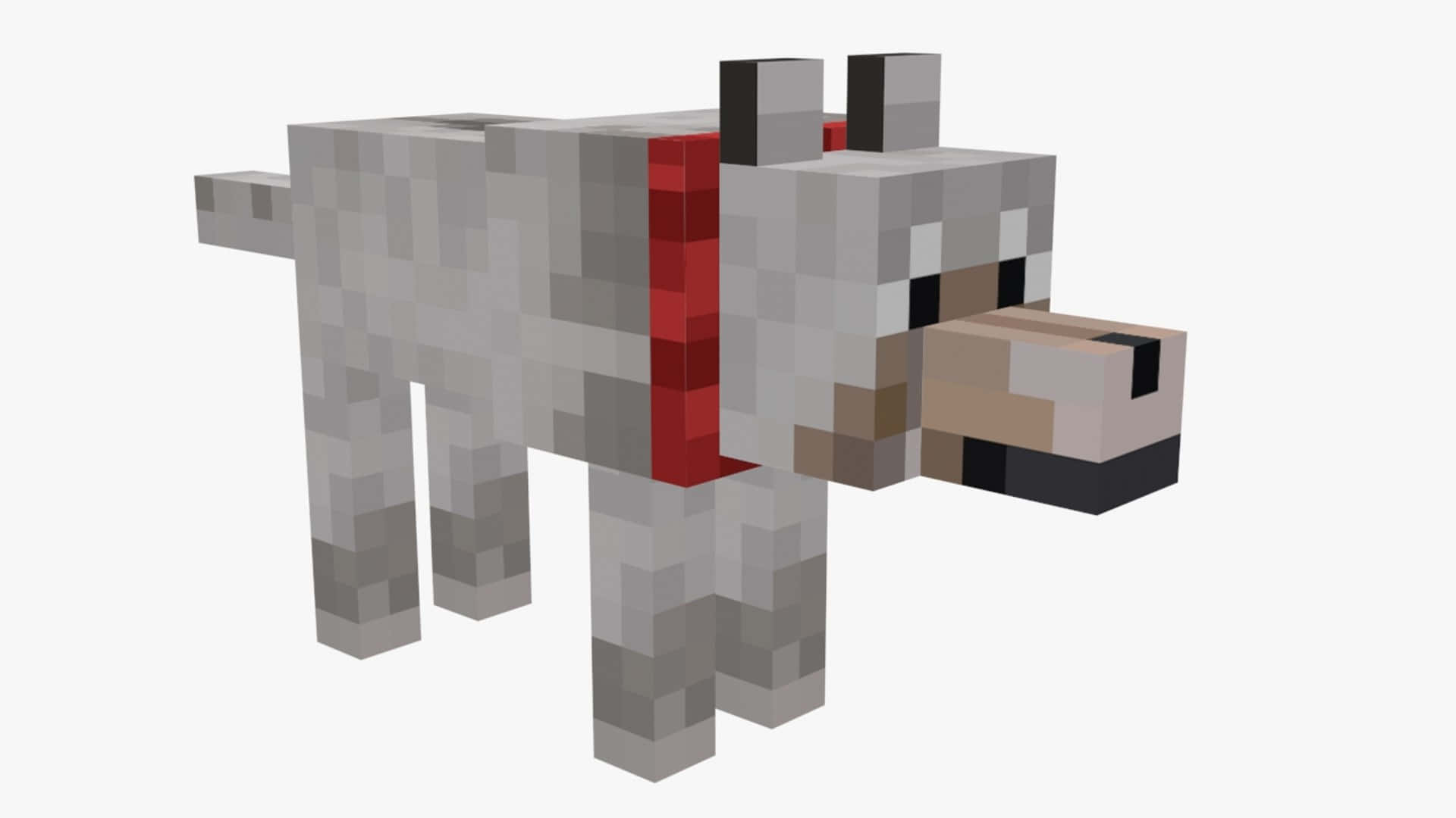 Minecraft Wolf 桌布 壁紙 — 一隻像素化的灰色狼戴著紅色項圈，以方塊狀的Minecraft風格站在純白色背景前。