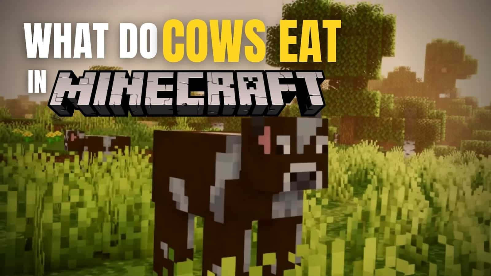 Minecraft Cow 桌布 壁紙 — 一隻像素化的牛站在方塊狀的草地上，天空朦朧，帶有Minecraft文字覆蓋。