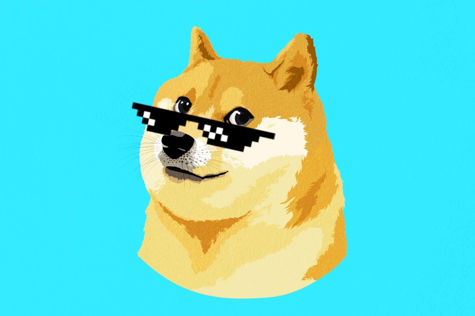 Dog Memes 桌布 壁紙 — 一隻像素化的狗戴著黑色太陽眼鏡，背景是明亮的青色。