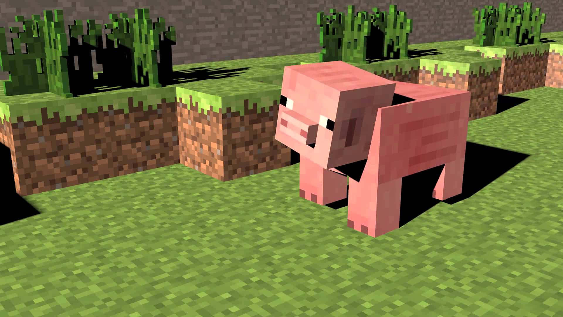 Minecraft Pig 桌布 壁紙 — 一隻像素化的粉紅色豬站在綠色草塊上，背景是帶有仙人掌和泥土的方塊狀Minecraft風格景觀。