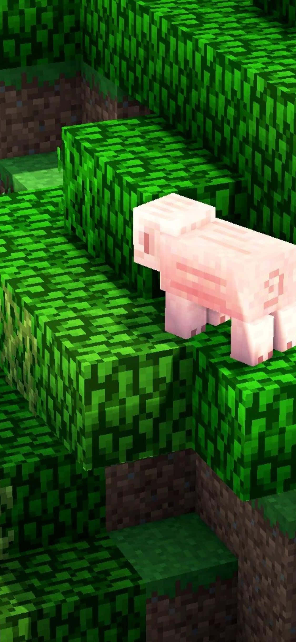 iPhone Xs Minecraft 桌布 壁紙 — 一隻像素化的粉紅色豬站在綠色草塊上，處於方塊狀的Minecraft景觀中。