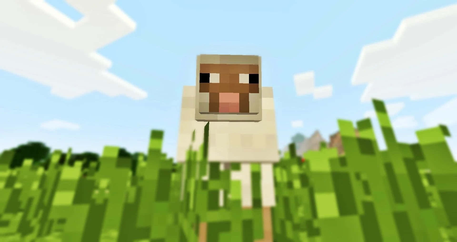 Minecraft Sheep 桌布 壁紙 — 一隻像素化的羊站在一個方塊狀的草地上，背景是明亮的藍天和蓬鬆的白雲。