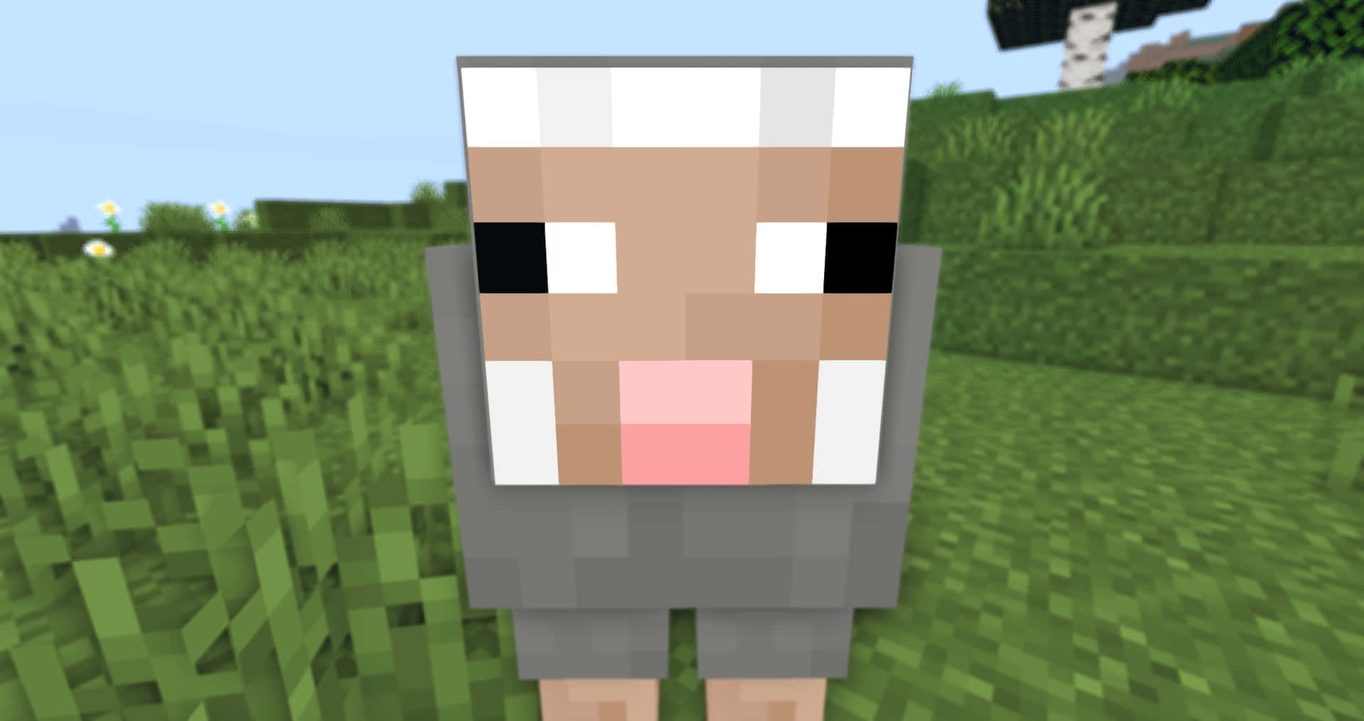 Minecraft Sheep 桌布 壁紙 — 一隻像素化的羊站在草地上，在一個方塊遊戲世界的晴朗藍天下。