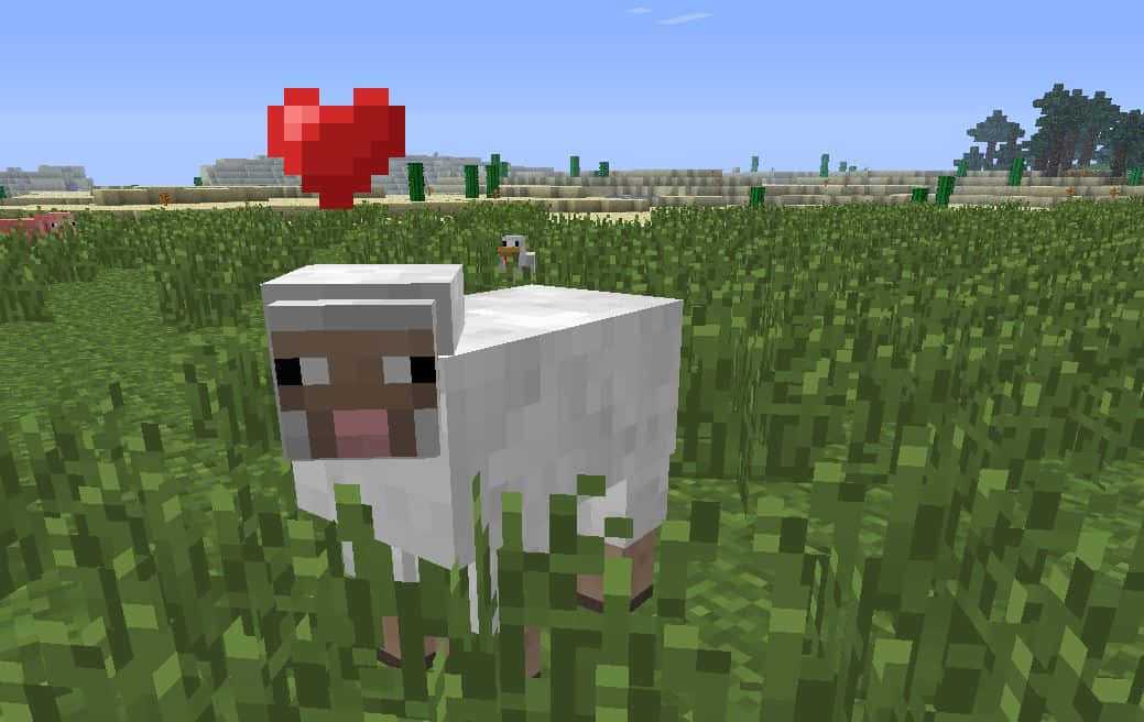 Minecraft Pets 桌布 壁紙 — 一隻像素化的羊站在草地上，天空晴朗，上方漂浮著一顆紅心。