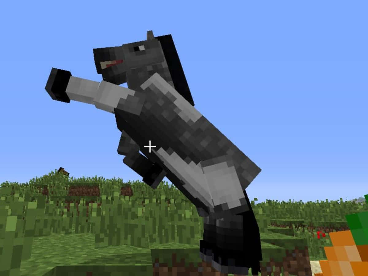 Minecraft Horses 桌布 壁紙 — 一隻像素化的黑馬在Minecraft的草地上揚起前蹄，背景是清澈的藍天。