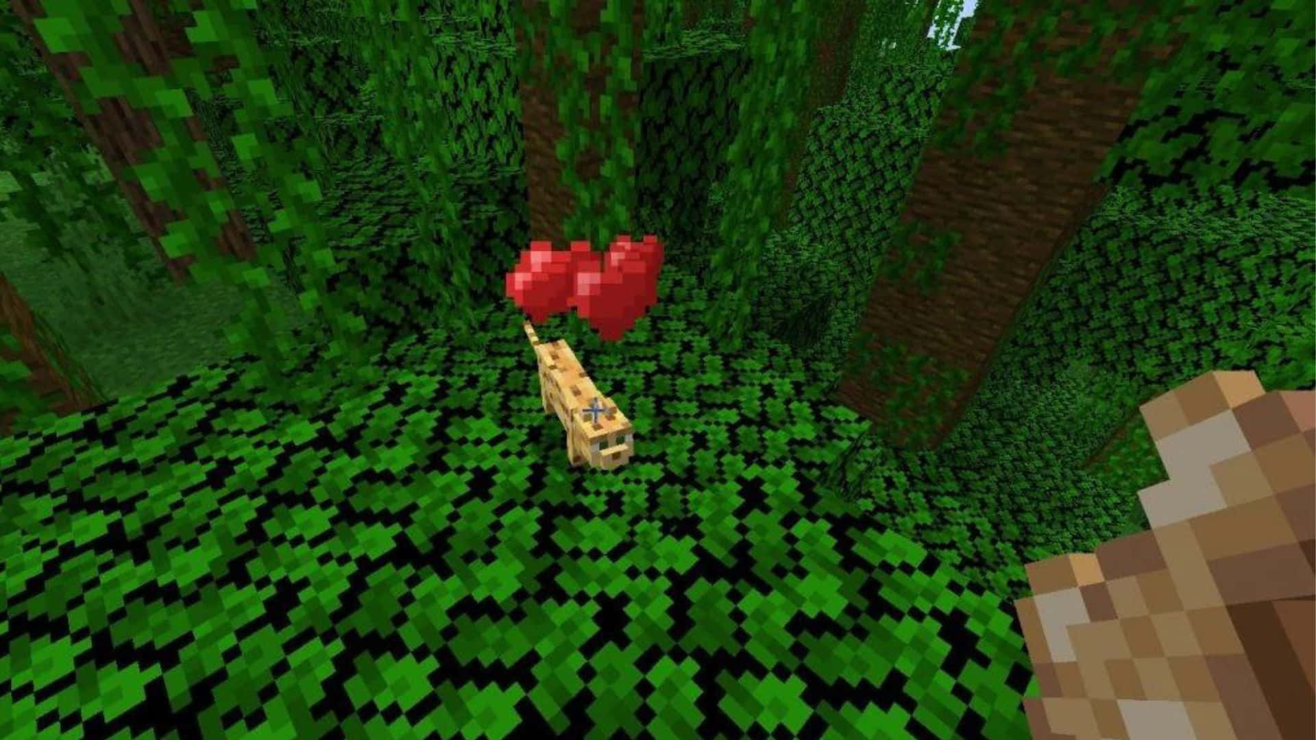 Minecraft Ocelot 桌布 壁紙 — 一隻像素化貓咪帶著漂浮的紅色愛心穿過Minecraft中茂密的綠色森林。